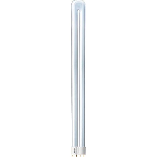 PHILIPS 36W Incandescent Cool Day Light Lamp, White, Pack of 25