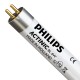 Philips Actinic BL TL 6W (For Insect Killer, 9 inch)