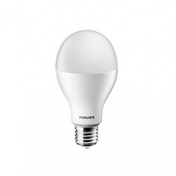 Philips 22-Watt E27 LED Bulb (Cool Day Light)