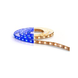 Philips Color Magic Cove Lighting LED Strip Light with Driver (Warm White + Blue)